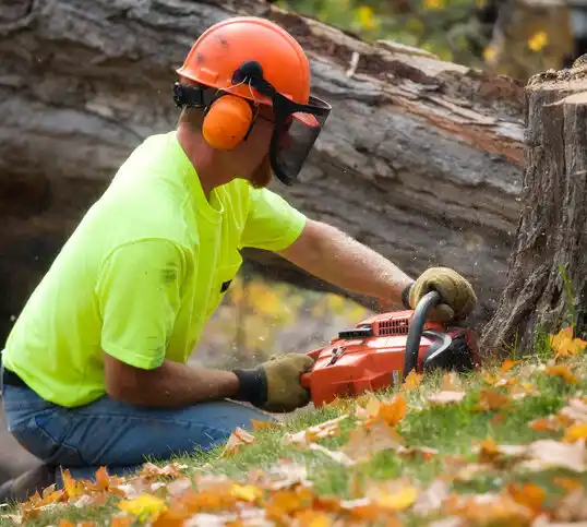 tree services Great Falls